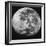 The Moon-Stocktrek Images-Framed Photographic Print