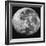 The Moon-Stocktrek Images-Framed Photographic Print