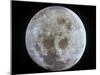 The Moon-Stocktrek Images-Mounted Photographic Print