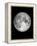 The Moon-Design Fabrikken-Framed Premier Image Canvas