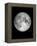 The Moon-Design Fabrikken-Framed Premier Image Canvas