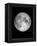 The Moon-Design Fabrikken-Framed Premier Image Canvas