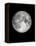 The Moon-Design Fabrikken-Framed Premier Image Canvas