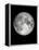 The Moon-Design Fabrikken-Framed Premier Image Canvas