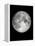 The Moon-Design Fabrikken-Framed Premier Image Canvas