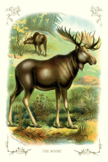 Art Print, , large