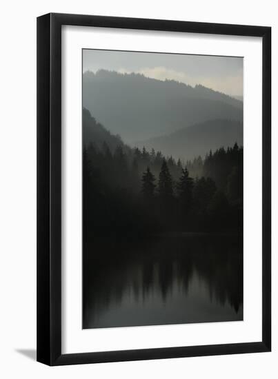 The Morning Light Is Coming Up in the Harz Mountains of Germany-Frank May-Framed Photo