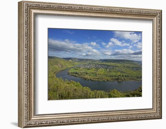 The Moselle Loop Near PŸnderich-Uwe Steffens-Framed Photographic Print