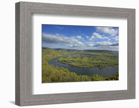 The Moselle Loop Near PŸnderich-Uwe Steffens-Framed Photographic Print