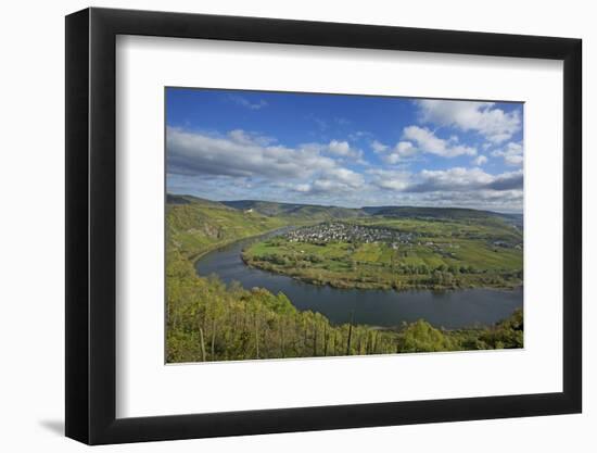 The Moselle Loop Near PŸnderich-Uwe Steffens-Framed Photographic Print