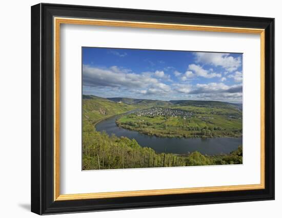 The Moselle Loop Near PŸnderich-Uwe Steffens-Framed Photographic Print
