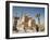 The Mosque of Muhammad Ali at the Citadel, Cairo, Egypt, North Africa, Africa-Michael Snell-Framed Photographic Print