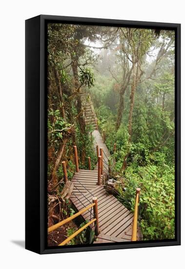 The Mossy Forest, Gunung Brinchang, Cameron Highlands, Pahang, Malaysia, Southeast Asia, Asia-Jochen Schlenker-Framed Premier Image Canvas