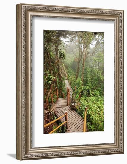 The Mossy Forest, Gunung Brinchang, Cameron Highlands, Pahang, Malaysia, Southeast Asia, Asia-Jochen Schlenker-Framed Photographic Print