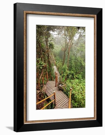 The Mossy Forest, Gunung Brinchang, Cameron Highlands, Pahang, Malaysia, Southeast Asia, Asia-Jochen Schlenker-Framed Photographic Print