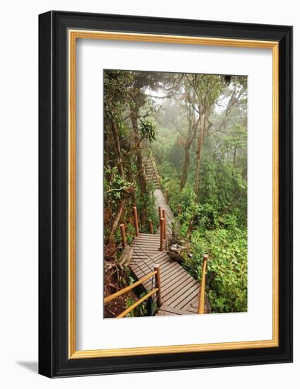 The Mossy Forest, Gunung Brinchang, Cameron Highlands, Pahang, Malaysia, Southeast Asia, Asia-Jochen Schlenker-Framed Photographic Print