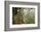 The Mossy Forest, Gunung Brinchang, Cameron Highlands, Pahang, Malaysia, Southeast Asia, Asia-Jochen Schlenker-Framed Photographic Print