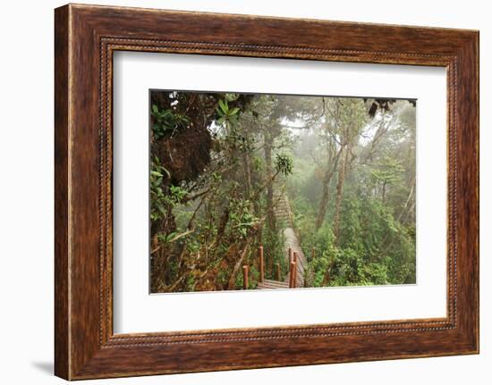 The Mossy Forest, Gunung Brinchang, Cameron Highlands, Pahang, Malaysia, Southeast Asia, Asia-Jochen Schlenker-Framed Photographic Print