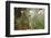 The Mossy Forest, Gunung Brinchang, Cameron Highlands, Pahang, Malaysia, Southeast Asia, Asia-Jochen Schlenker-Framed Photographic Print