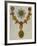 The Most Illustrious Order of St Patrick, 1941-null-Framed Giclee Print