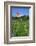 The Most Northern Viticulture of Germany-Uwe Steffens-Framed Photographic Print