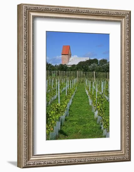 The Most Northern Viticulture of Germany-Uwe Steffens-Framed Photographic Print