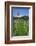 The Most Northern Viticulture of Germany-Uwe Steffens-Framed Photographic Print