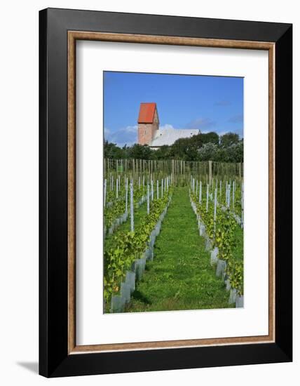 The Most Northern Viticulture of Germany-Uwe Steffens-Framed Photographic Print