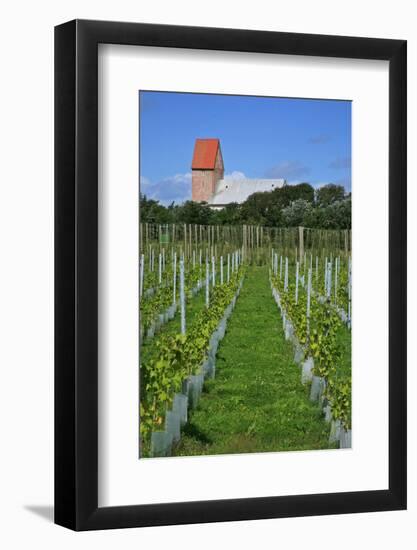 The Most Northern Viticulture of Germany-Uwe Steffens-Framed Photographic Print