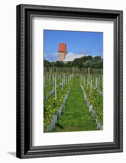The Most Northern Viticulture of Germany-Uwe Steffens-Framed Photographic Print