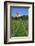 The Most Northern Viticulture of Germany-Uwe Steffens-Framed Photographic Print