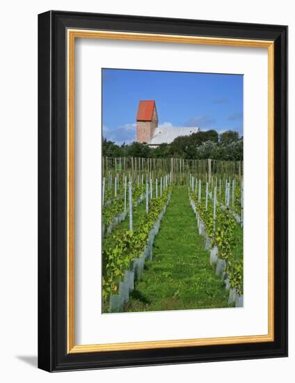 The Most Northern Viticulture of Germany-Uwe Steffens-Framed Photographic Print