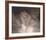 The Mother-Sir John Lavery-Framed Premium Giclee Print