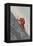 The Mountaineer, 2021 (Collage)-Florent Bodart-Framed Premier Image Canvas