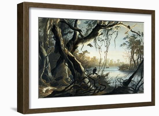 The Mouth of the Fox River, Indiana-Karl Bodmer-Framed Giclee Print