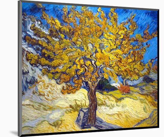 The Mulberry Tree-Vincent Van Gogh-Mounted Art Print