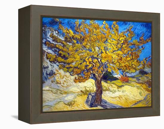 The Mulberry Tree-Vincent van Gogh-Framed Stretched Canvas