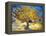 The Mulberry Tree-Vincent van Gogh-Framed Stretched Canvas