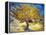 The Mulberry Tree-Vincent van Gogh-Framed Stretched Canvas