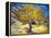 The Mulberry Tree-Vincent van Gogh-Framed Stretched Canvas