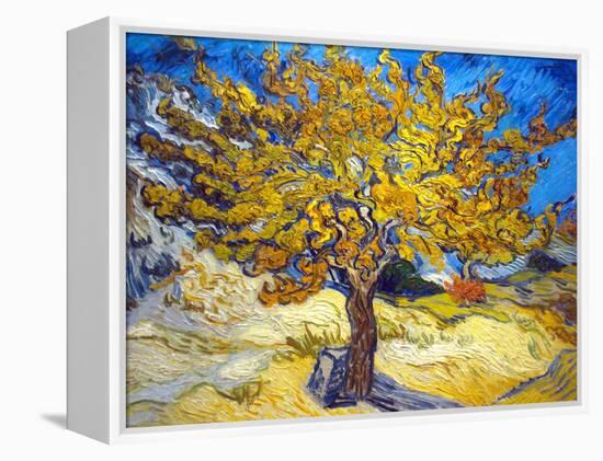 The Mulberry Tree-Vincent van Gogh-Framed Stretched Canvas