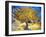 The Mulberry Tree-Vincent van Gogh-Framed Art Print