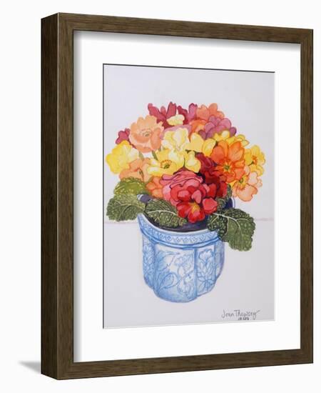 The Multicoloured Primrose 2011-Joan Thewsey-Framed Giclee Print