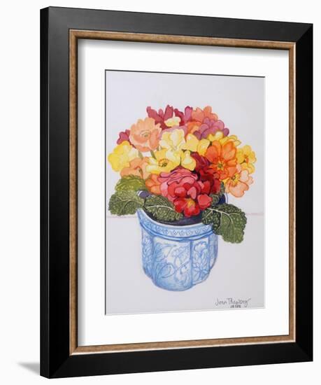 The Multicoloured Primrose 2011-Joan Thewsey-Framed Giclee Print