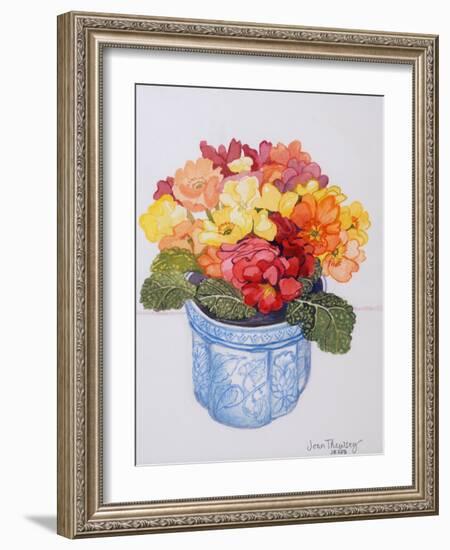 The Multicoloured Primrose 2011-Joan Thewsey-Framed Giclee Print