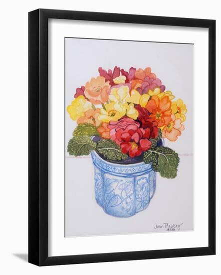 The Multicoloured Primrose 2011-Joan Thewsey-Framed Giclee Print