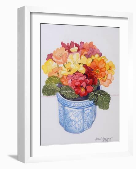 The Multicoloured Primrose 2011-Joan Thewsey-Framed Giclee Print