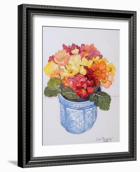 The Multicoloured Primrose 2011-Joan Thewsey-Framed Giclee Print