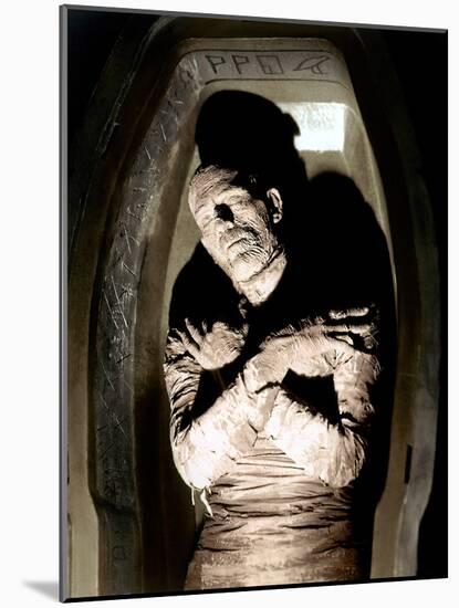 The Mummy, Boris Karloff, 1932-null-Mounted Photo