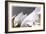 The Mur De La Cote, C1855-George Baxter-Framed Giclee Print